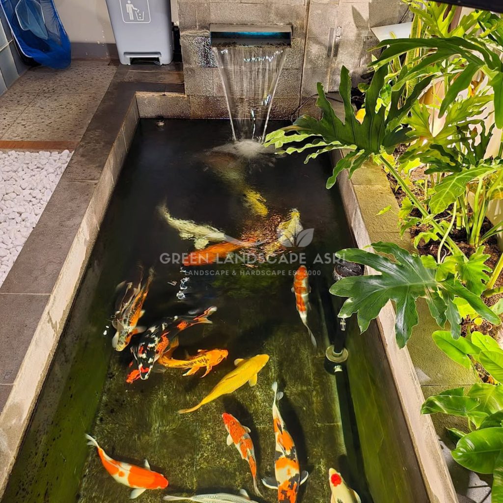Tukang Kolam Ikan Minimalis