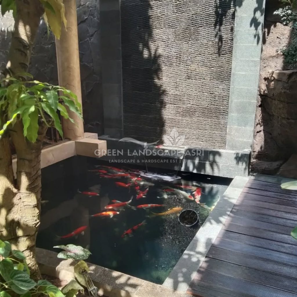 Tukang Kolam Ikan Minimalis