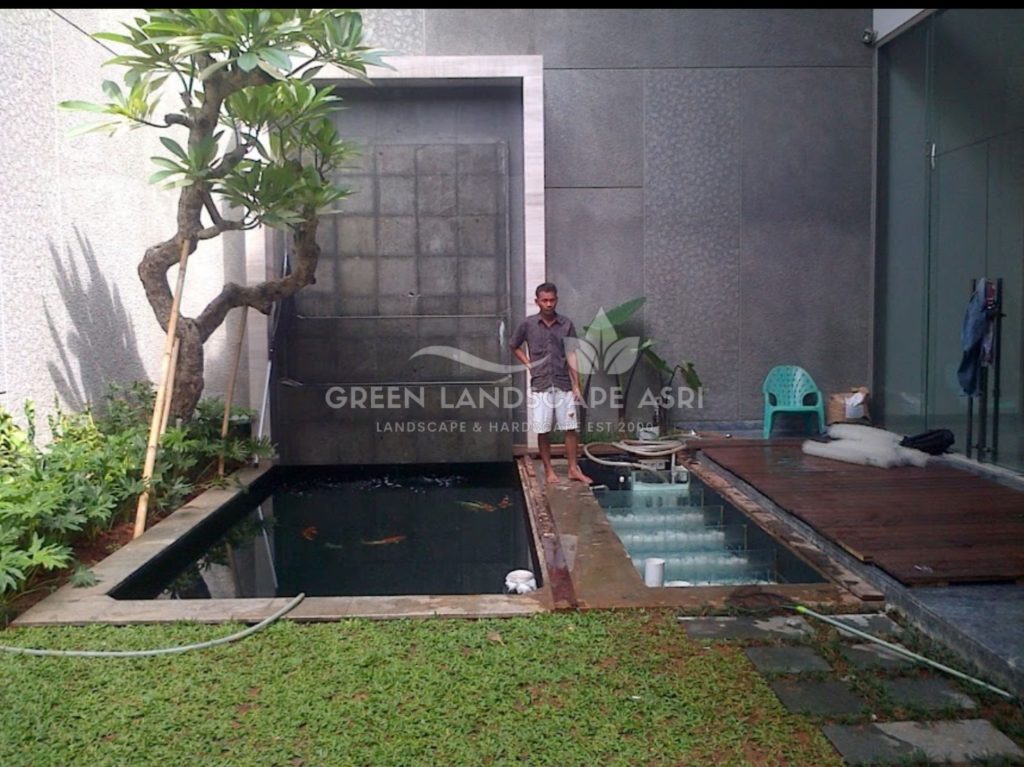 Tukang Kolam Ikan Minimalis