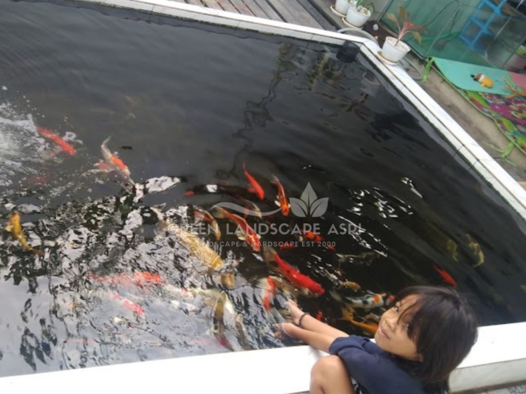 Jasa Kolam Minimalis