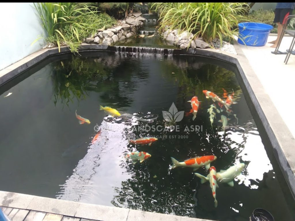Jasa Kolam Minimalis