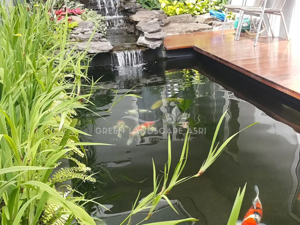 Jasa Kolam Minimalis