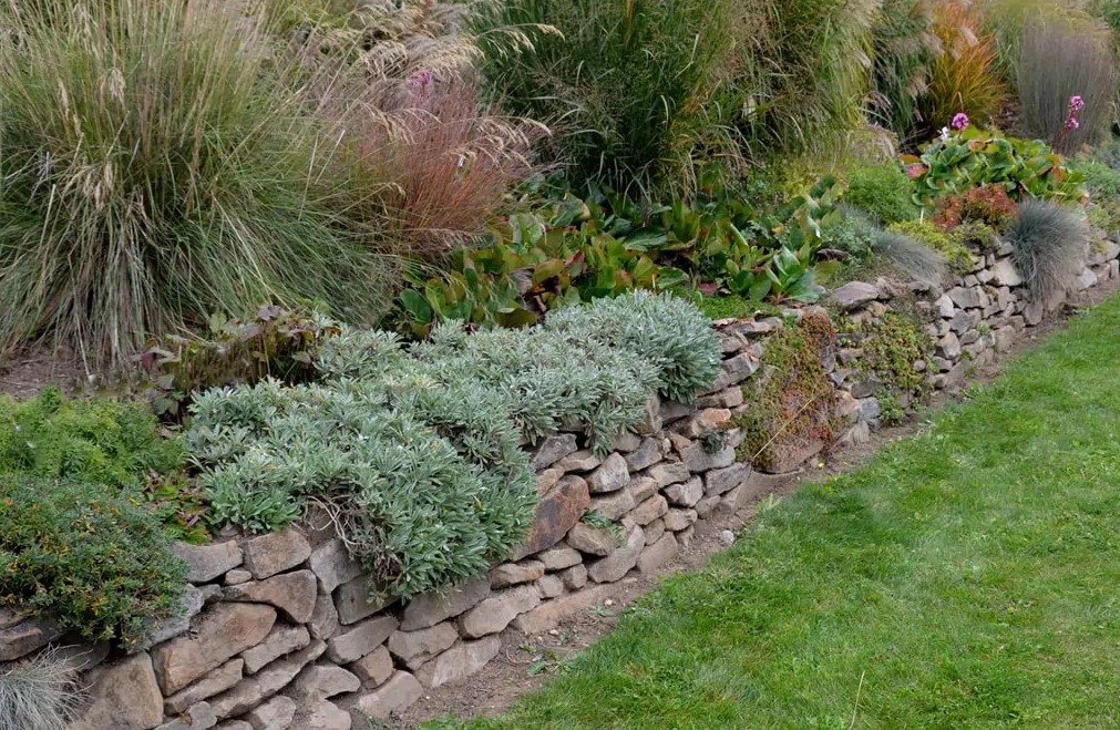 Batu Alam Dinding untuk Memperkuat Nuansa Alami di Sekitar Taman