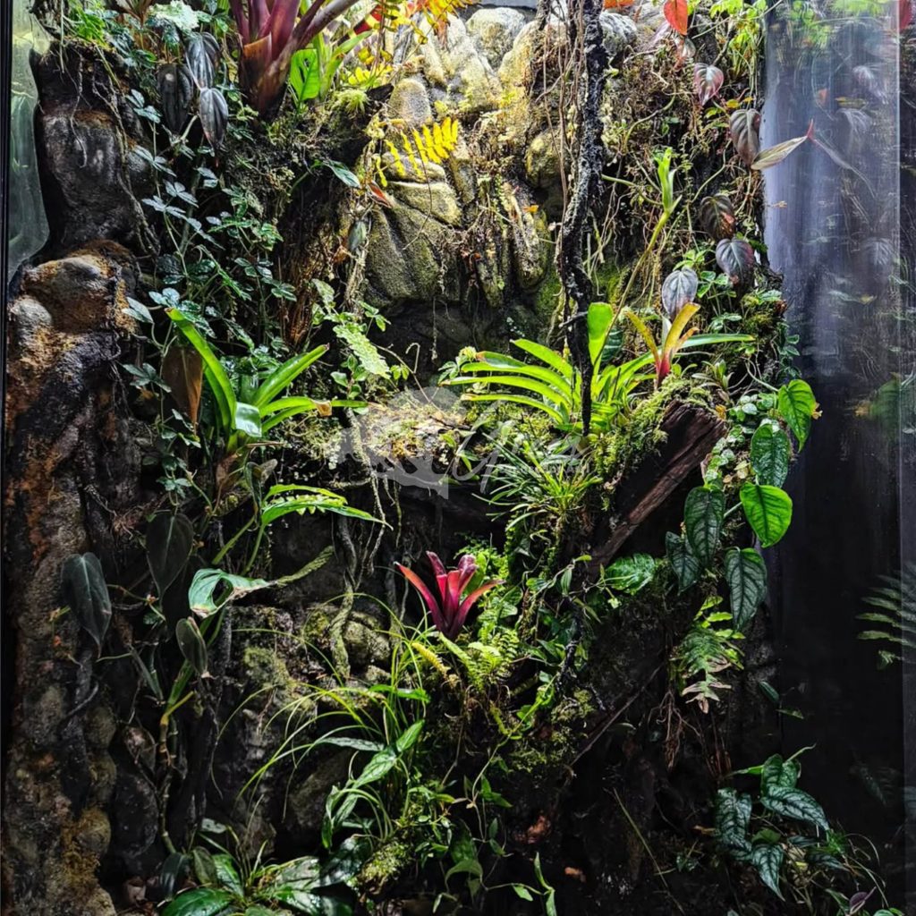 Jasa Pembuatan Paludarium