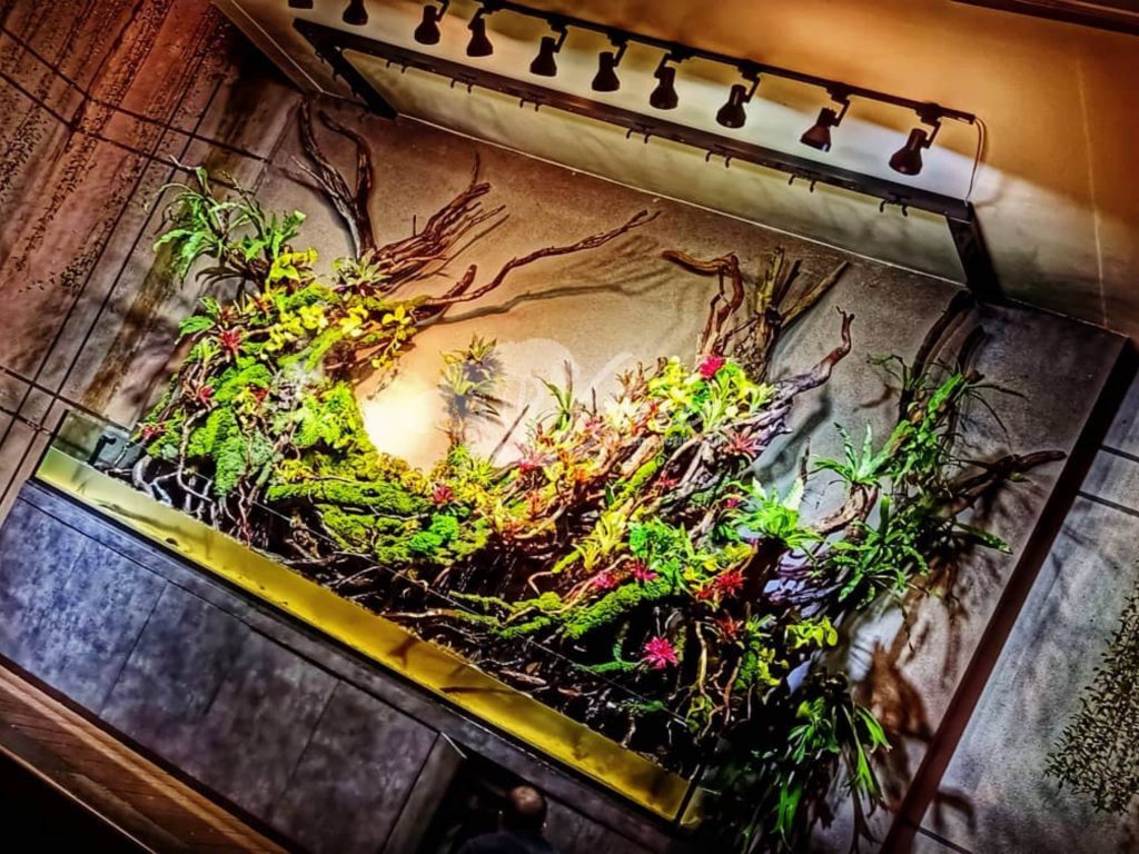 Jasa Pembuatan Paludarium