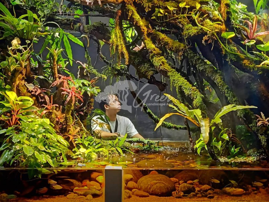 Jasa Pembuatan Paludarium