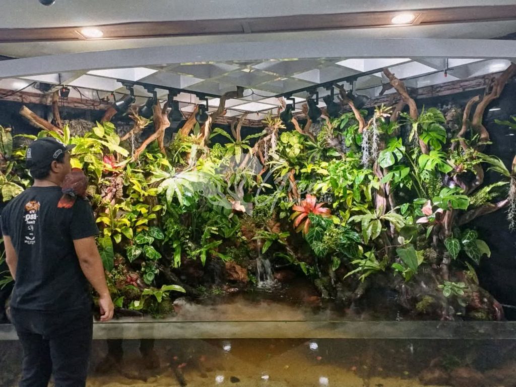 Jasa Pembuatan Paludarium