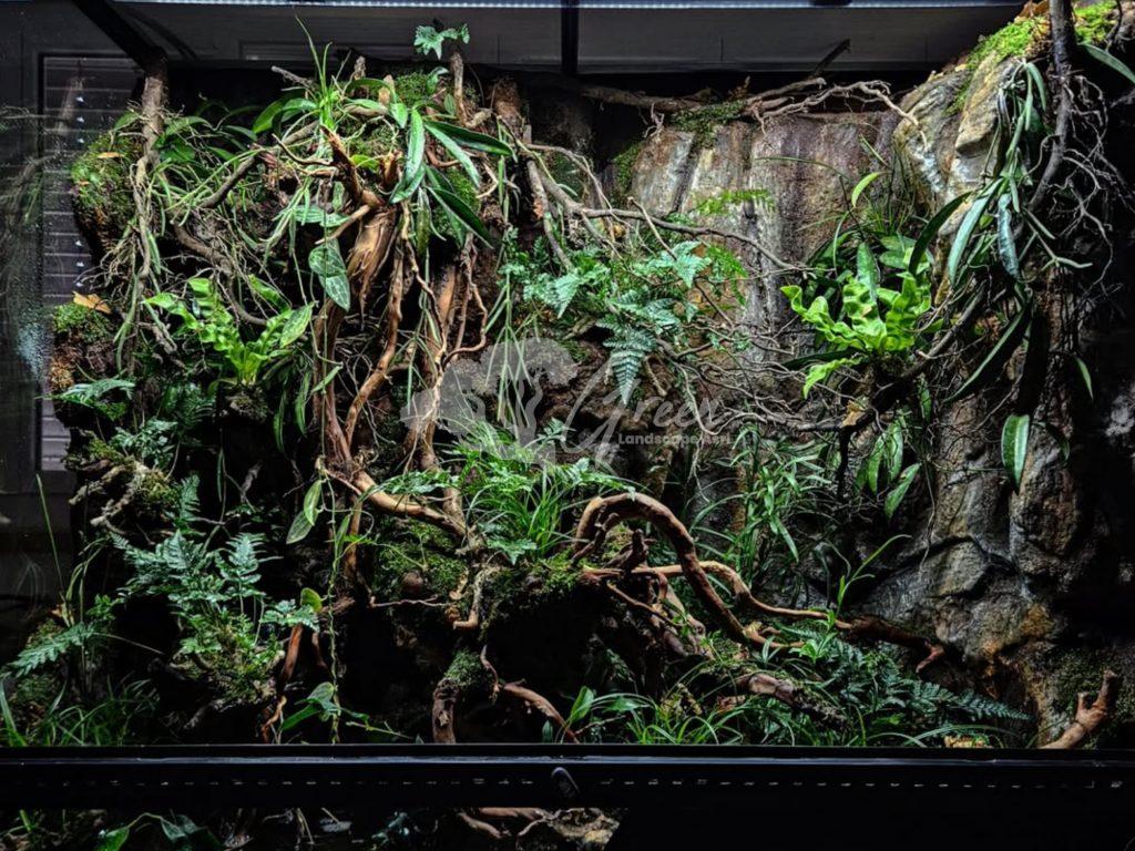 Jasa Pembuatan Paludarium