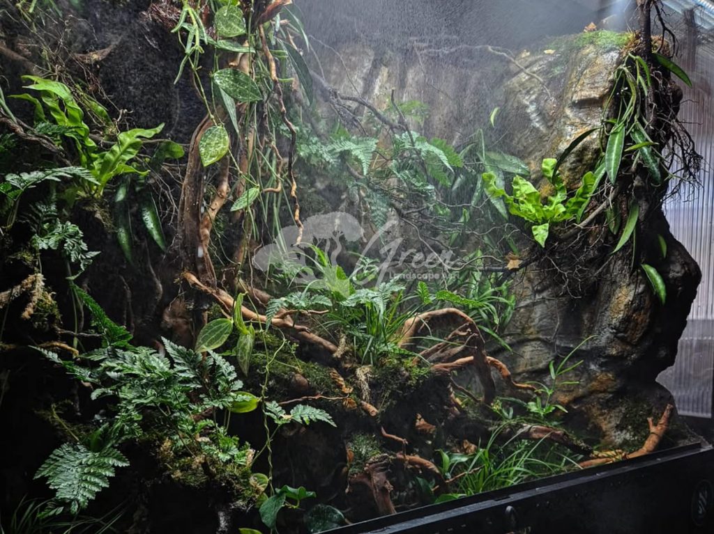 Jasa Pembuatan Paludarium