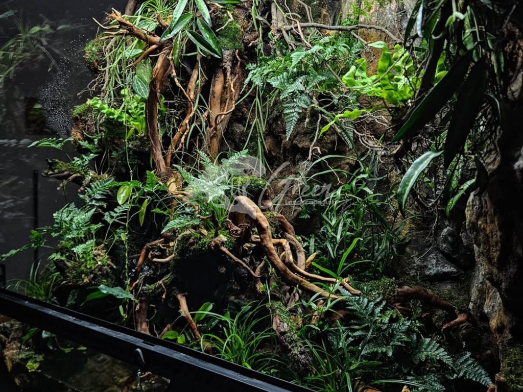 Jasa Pembuatan Paludarium