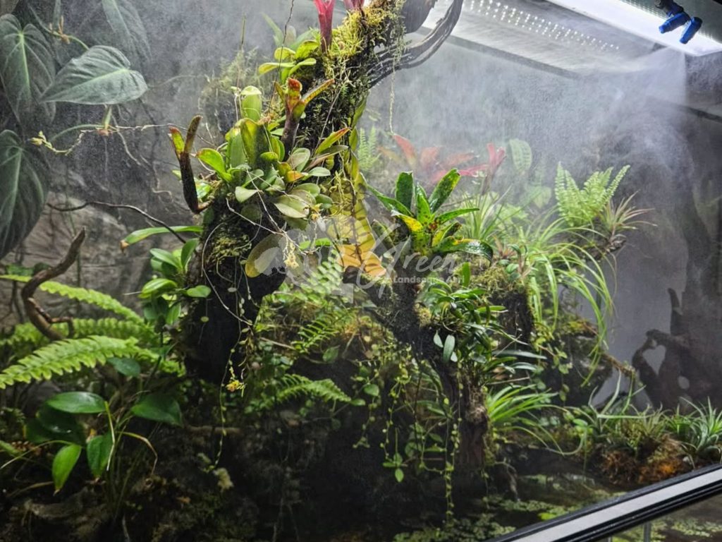 Jasa Pembuatan Paludarium