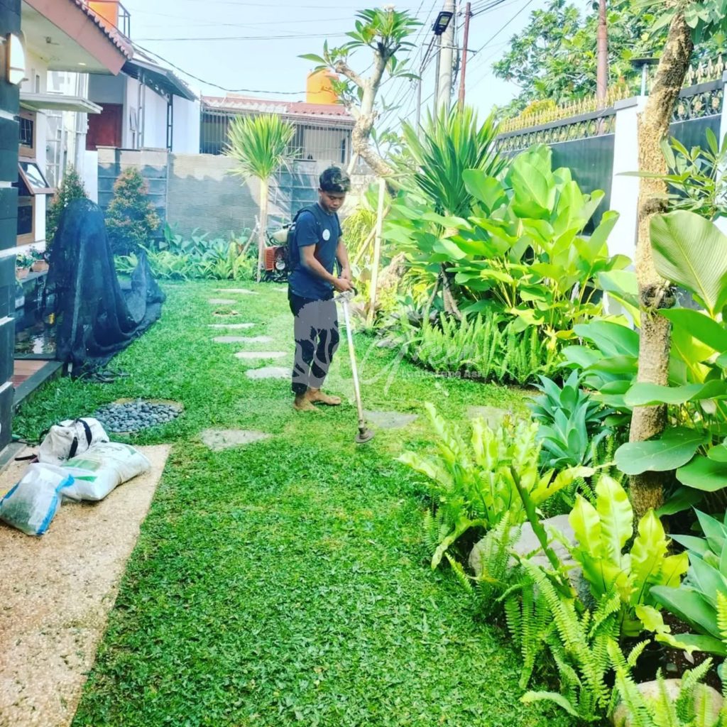 Jasa Perawatan Taman