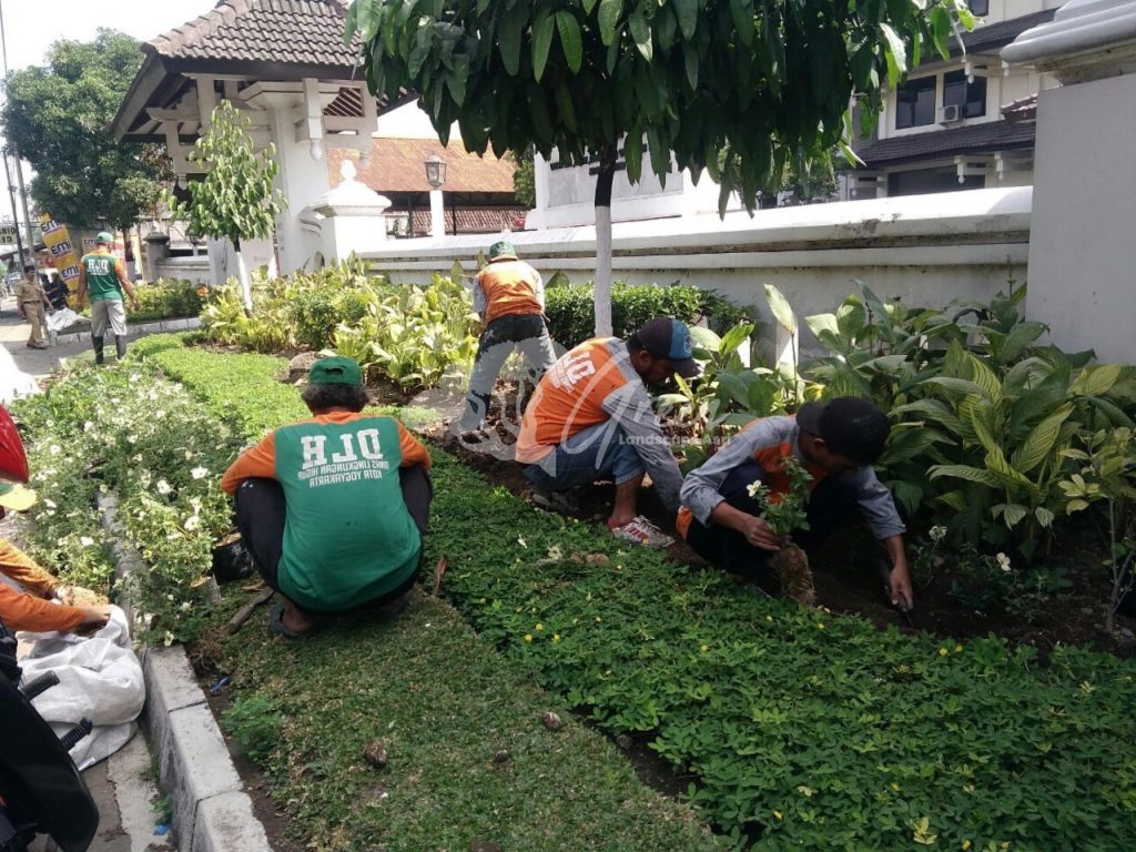 Jasa Perawatan Taman