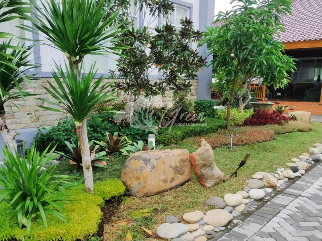 Jasa Perawatan Taman