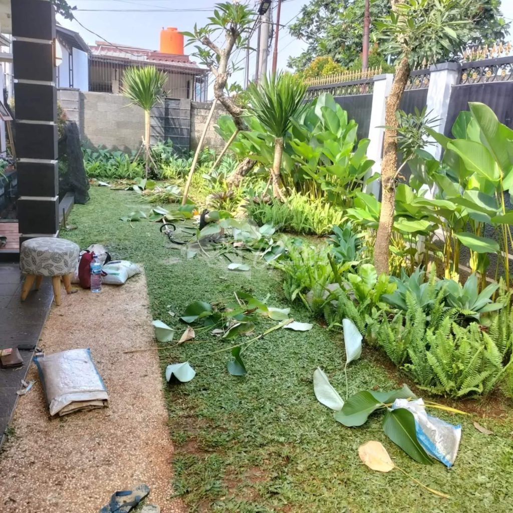 Jasa Perawatan Taman