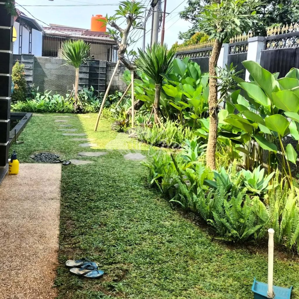 Jasa Perawatan Taman