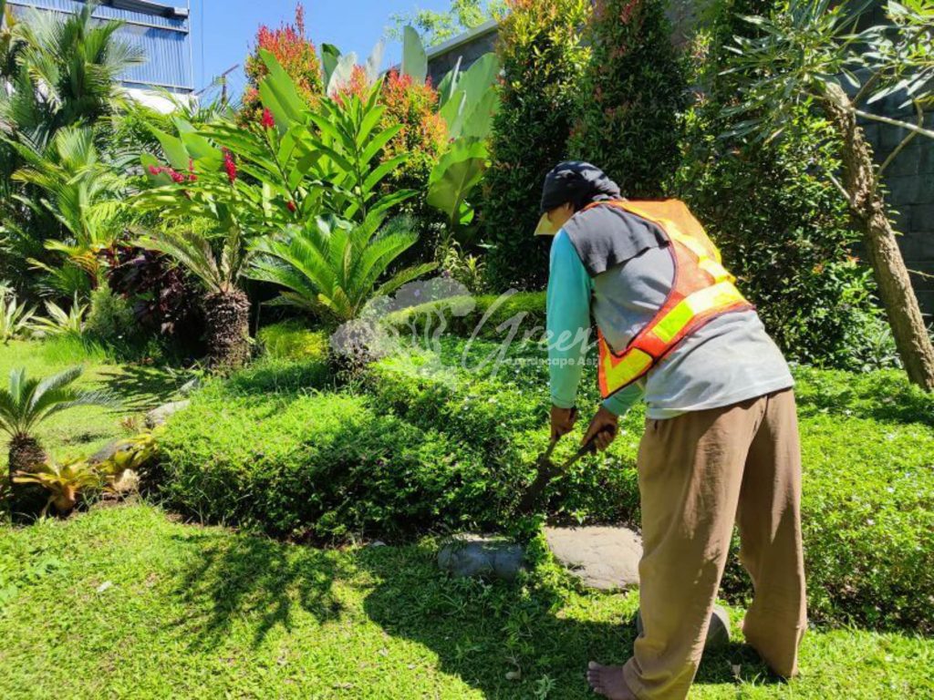 Jasa Perawatan Taman