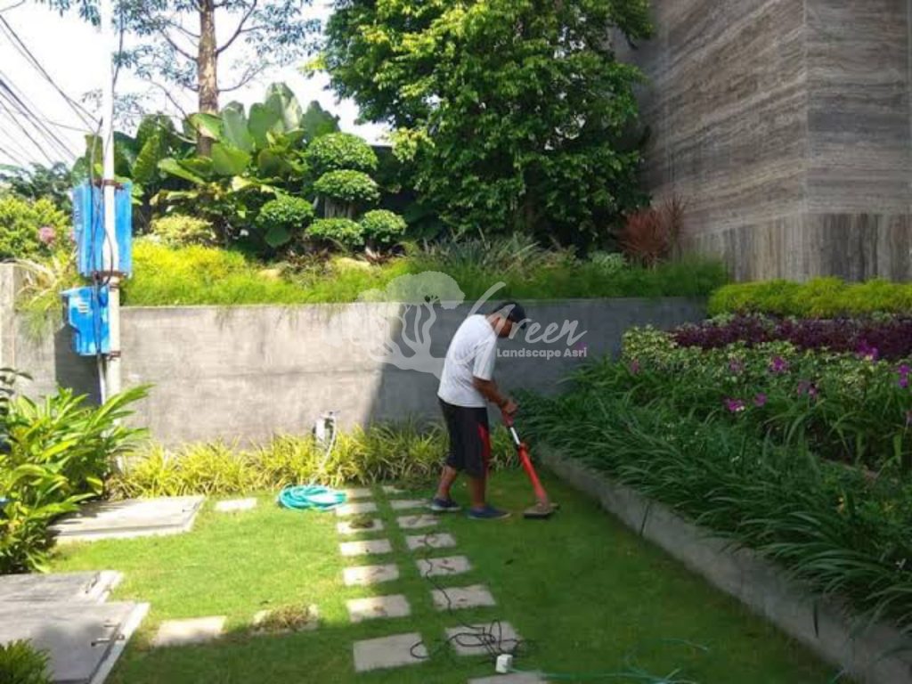 Jasa Perawatan Taman