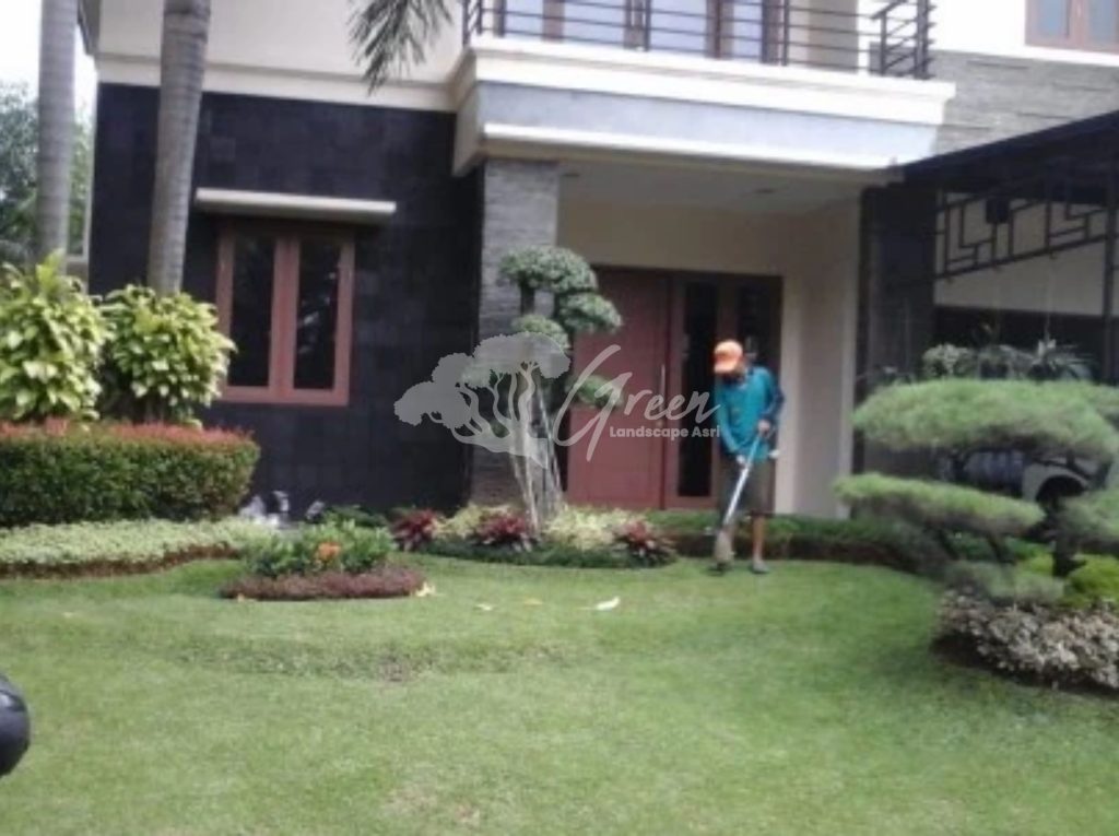 Jasa Perawatan Taman