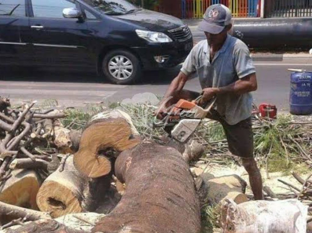 Jasa Tebang Pohon