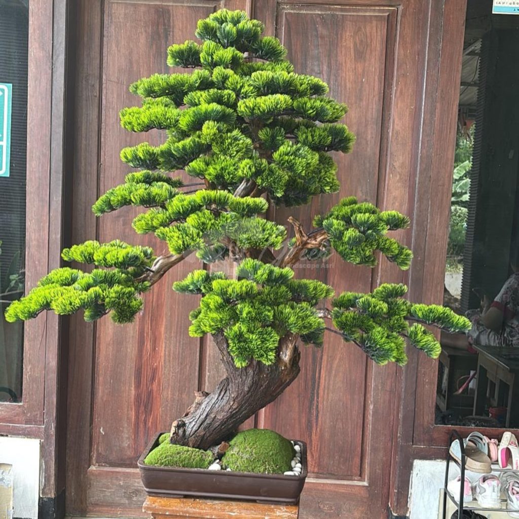 Jual Tanaman Sintetis