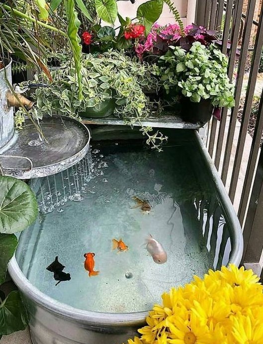 Kolam Koi Mini Balkon untuk Hunian Vertikal Modern