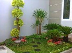 Taman Minimalis di Lahan Sempit Depan Rumah