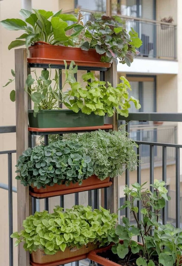 Vertical Garden Balkon Sebagai Solusi Hijau di Ruang Terbatas