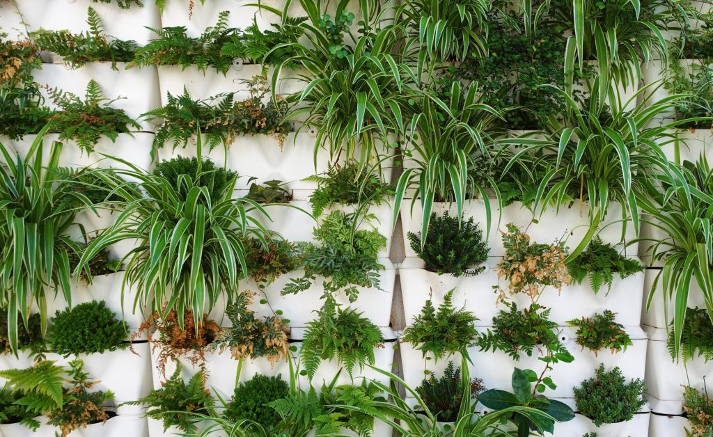 Vertical Garden Indoor dengan Tanaman Pembersih Udara